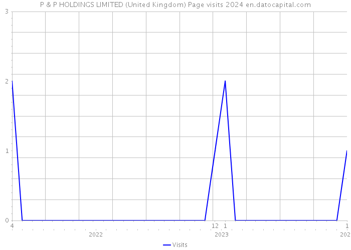 P & P HOLDINGS LIMITED (United Kingdom) Page visits 2024 