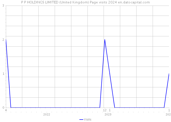P P HOLDINGS LIMITED (United Kingdom) Page visits 2024 