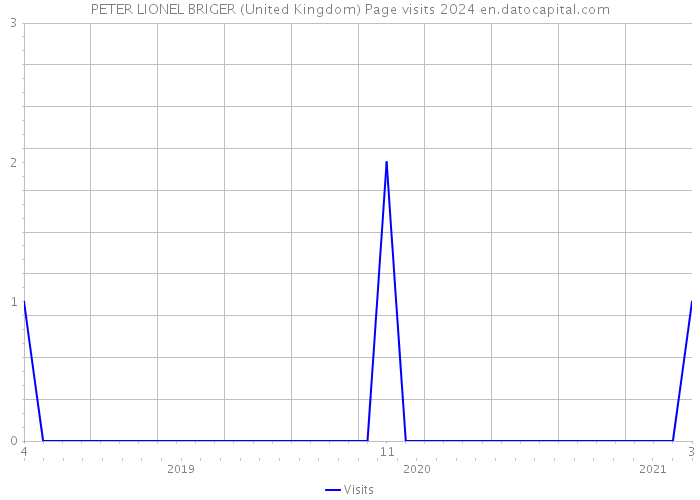 PETER LIONEL BRIGER (United Kingdom) Page visits 2024 