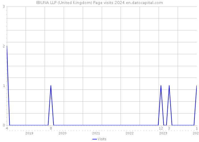 IBIUNA LLP (United Kingdom) Page visits 2024 