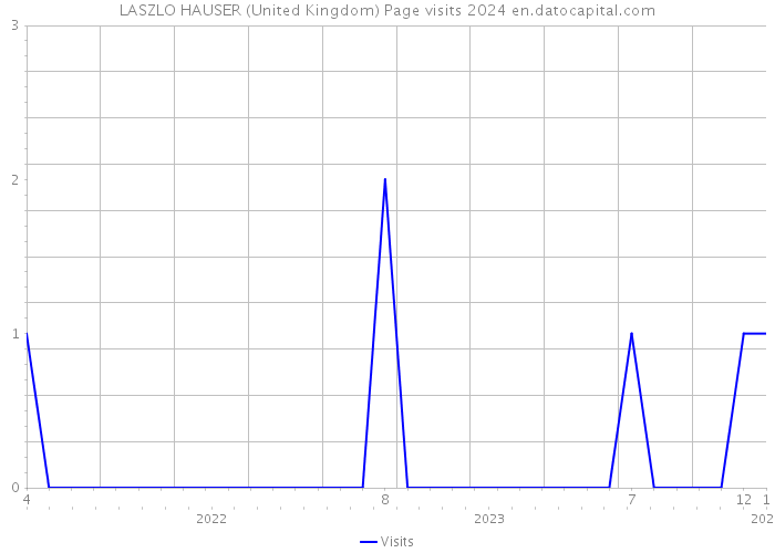 LASZLO HAUSER (United Kingdom) Page visits 2024 