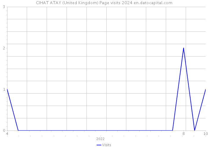 CIHAT ATAY (United Kingdom) Page visits 2024 