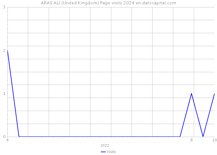 ARAS ALI (United Kingdom) Page visits 2024 