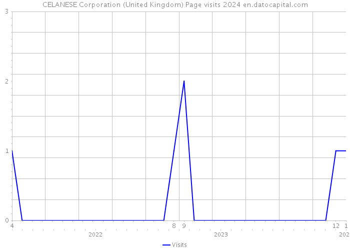 CELANESE Corporation (United Kingdom) Page visits 2024 