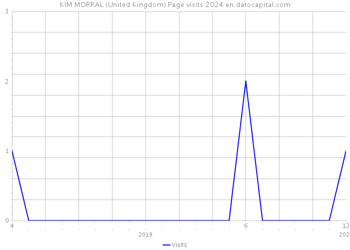 KIM MORRAL (United Kingdom) Page visits 2024 