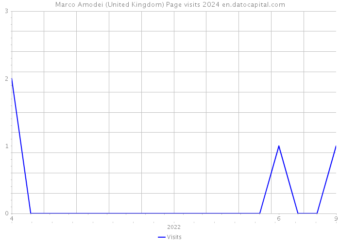 Marco Amodei (United Kingdom) Page visits 2024 