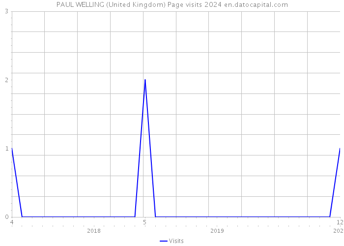 PAUL WELLING (United Kingdom) Page visits 2024 