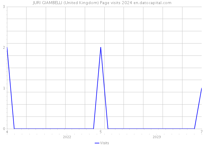 JURI GIAMBELLI (United Kingdom) Page visits 2024 