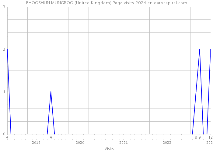 BHOOSHUN MUNGROO (United Kingdom) Page visits 2024 