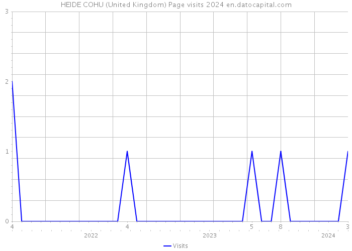 HEIDE COHU (United Kingdom) Page visits 2024 