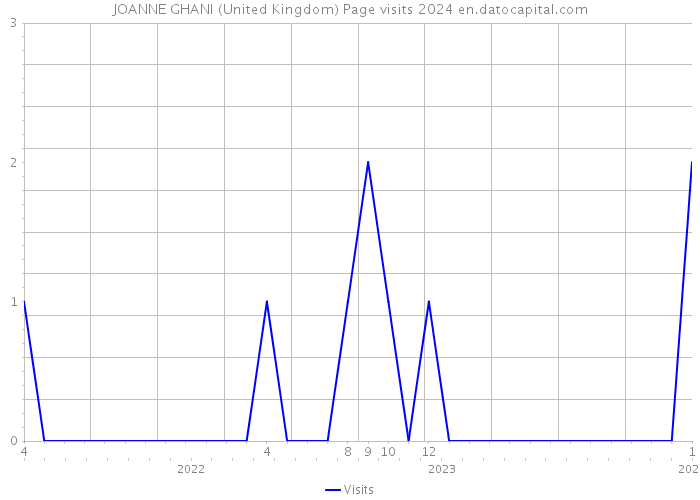 JOANNE GHANI (United Kingdom) Page visits 2024 