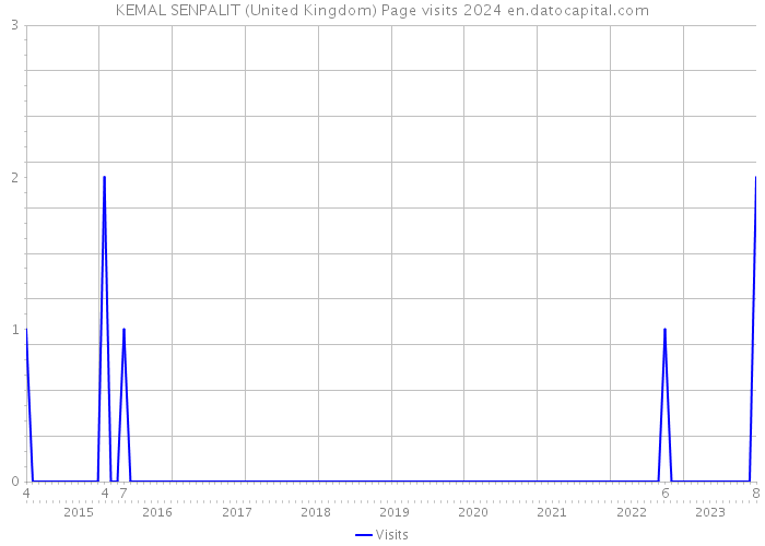 KEMAL SENPALIT (United Kingdom) Page visits 2024 
