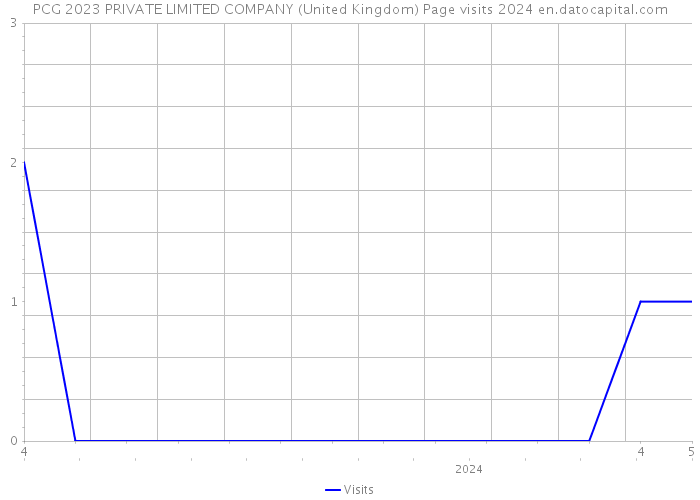 PCG 2023 PRIVATE LIMITED COMPANY (United Kingdom) Page visits 2024 