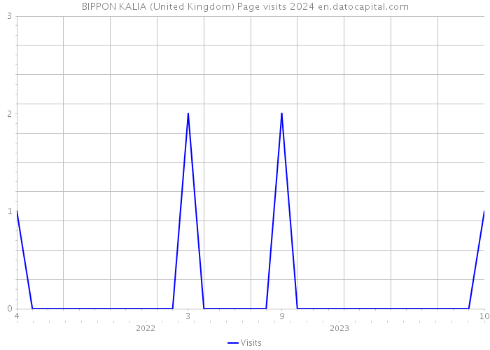BIPPON KALIA (United Kingdom) Page visits 2024 
