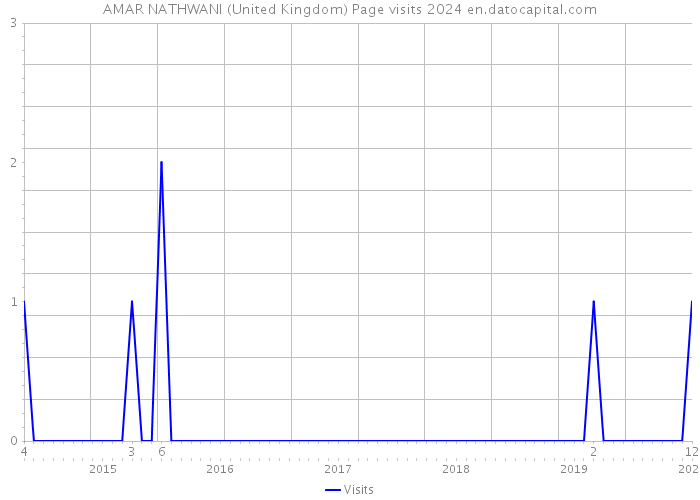 AMAR NATHWANI (United Kingdom) Page visits 2024 