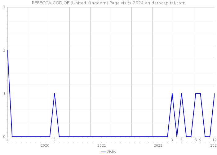 REBECCA CODJOE (United Kingdom) Page visits 2024 