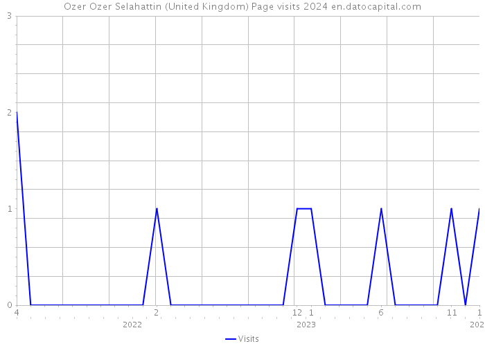 Ozer Ozer Selahattin (United Kingdom) Page visits 2024 
