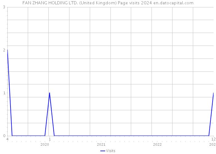 FAN ZHANG HOLDING LTD. (United Kingdom) Page visits 2024 