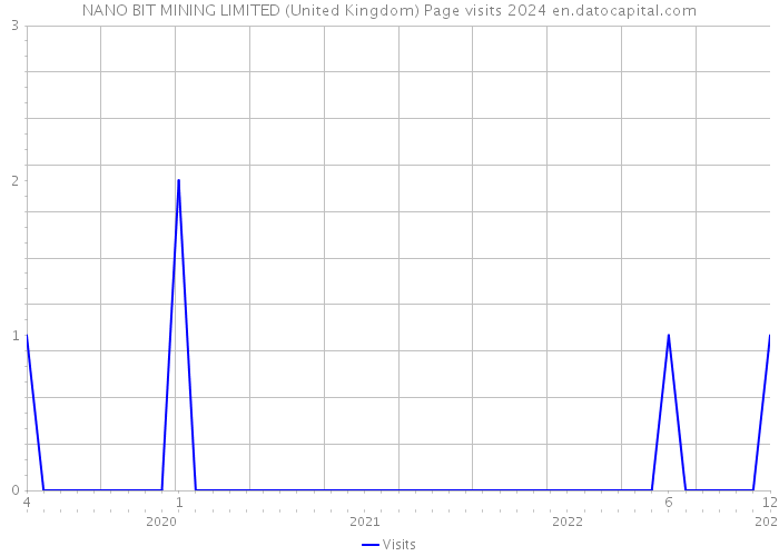 NANO BIT MINING LIMITED (United Kingdom) Page visits 2024 