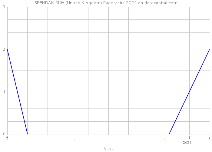 BRENDAN RUH (United Kingdom) Page visits 2024 