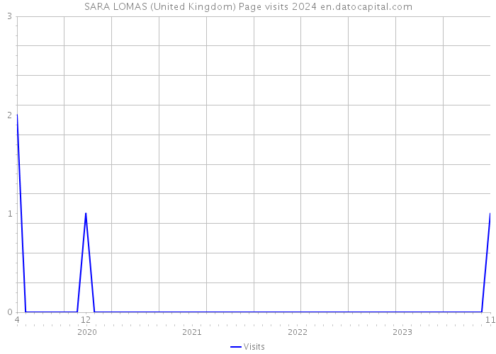 SARA LOMAS (United Kingdom) Page visits 2024 