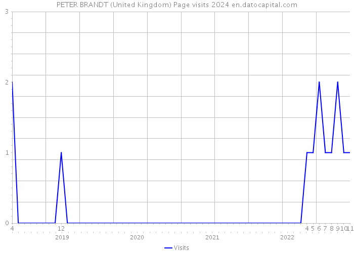 PETER BRANDT (United Kingdom) Page visits 2024 