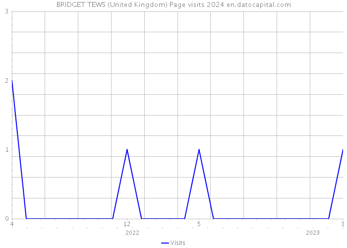 BRIDGET TEWS (United Kingdom) Page visits 2024 