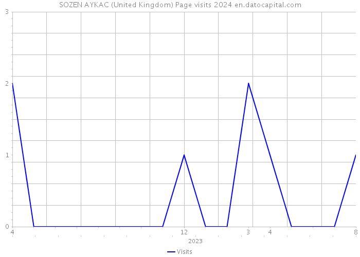 SOZEN AYKAC (United Kingdom) Page visits 2024 
