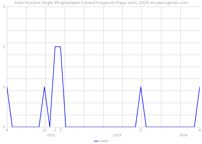 Amir Hossein Atighi Moghaddam (United Kingdom) Page visits 2024 