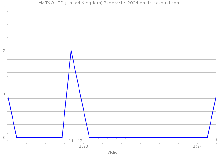 HATKO LTD (United Kingdom) Page visits 2024 