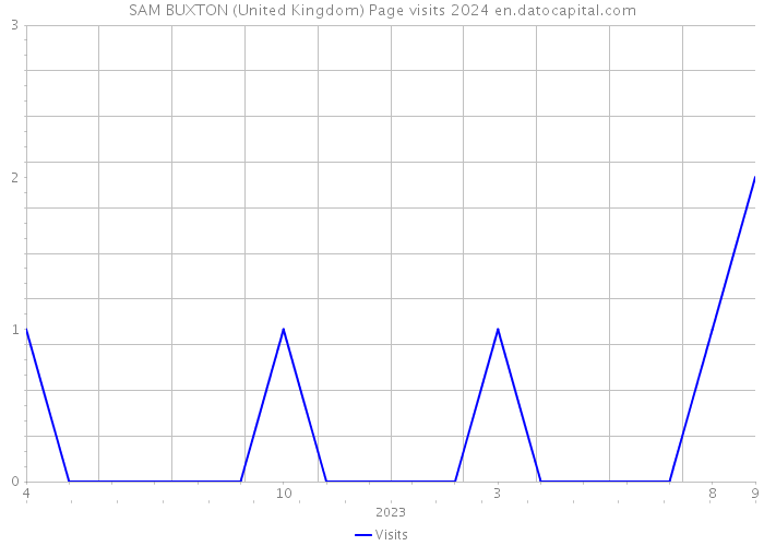 SAM BUXTON (United Kingdom) Page visits 2024 