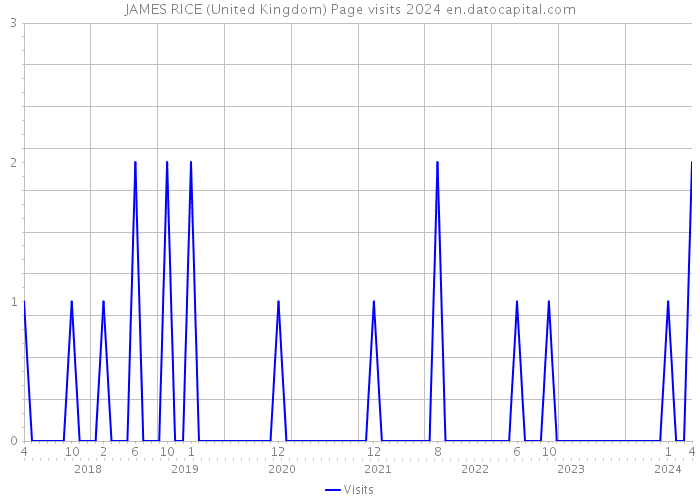 JAMES RICE (United Kingdom) Page visits 2024 