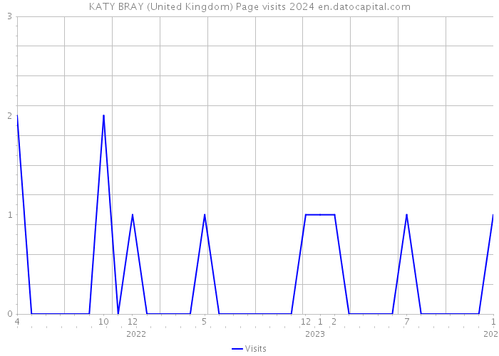 KATY BRAY (United Kingdom) Page visits 2024 