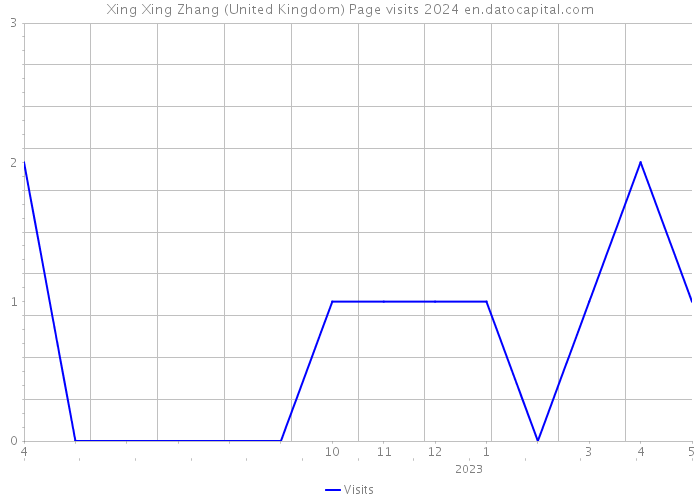 Xing Xing Zhang (United Kingdom) Page visits 2024 