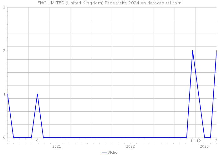FHG LIMITED (United Kingdom) Page visits 2024 