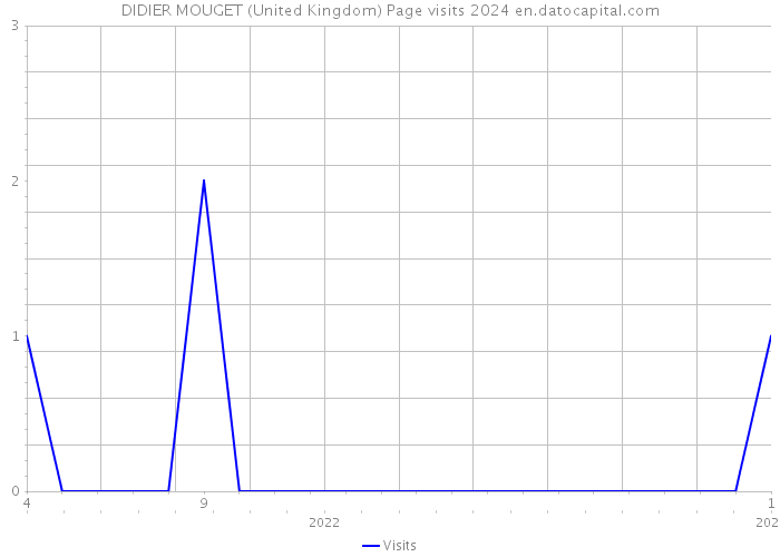 DIDIER MOUGET (United Kingdom) Page visits 2024 