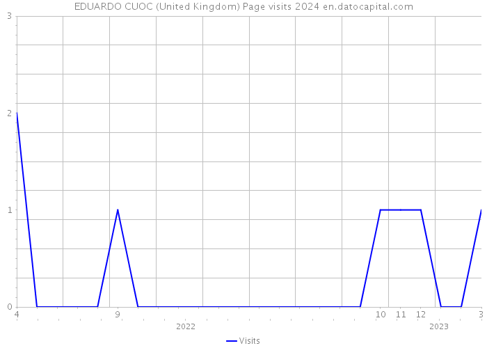 EDUARDO CUOC (United Kingdom) Page visits 2024 