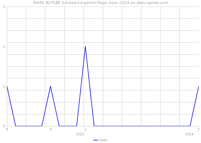 MARK BUTLER (United Kingdom) Page visits 2024 