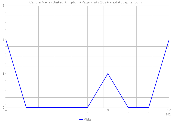 Callum Vaga (United Kingdom) Page visits 2024 