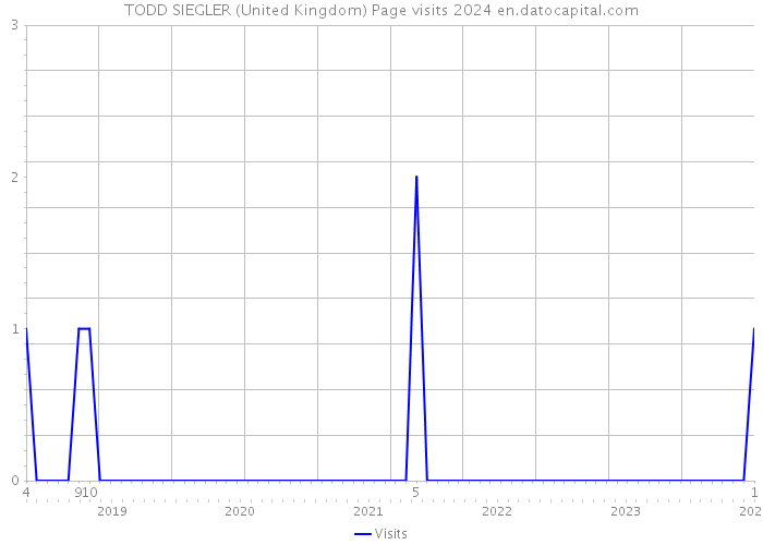 TODD SIEGLER (United Kingdom) Page visits 2024 