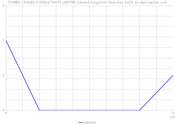 TOWER CRANES CONSULTANTS LIMITED (United Kingdom) Searches 2024 