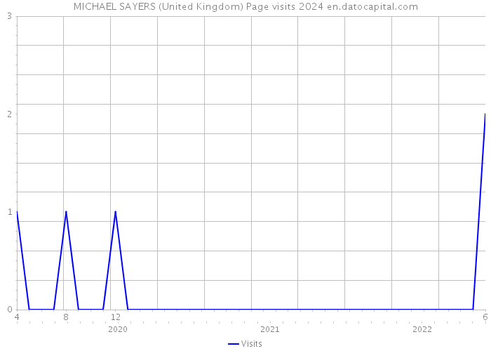 MICHAEL SAYERS (United Kingdom) Page visits 2024 