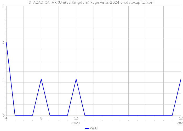 SHAZAD GAFAR (United Kingdom) Page visits 2024 