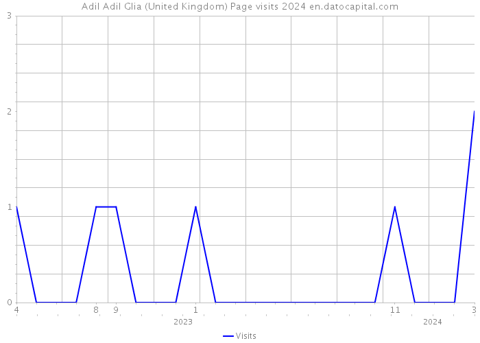 Adil Adil Glia (United Kingdom) Page visits 2024 