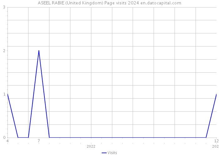 ASEEL RABIE (United Kingdom) Page visits 2024 