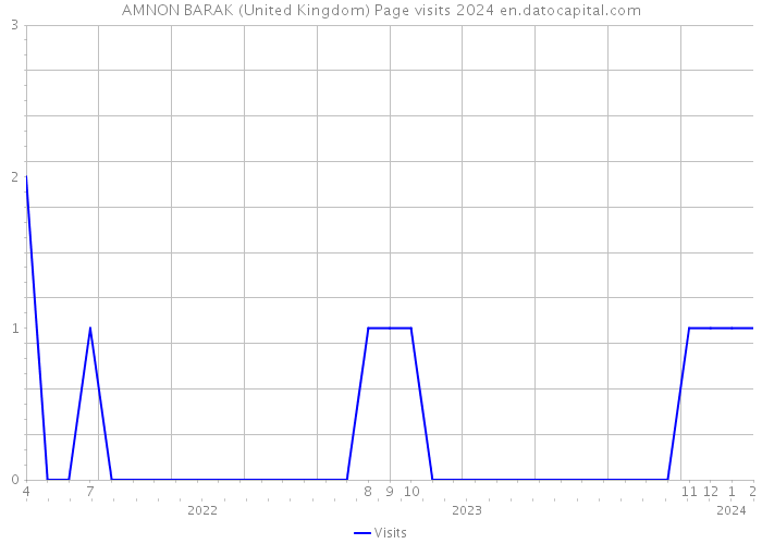 AMNON BARAK (United Kingdom) Page visits 2024 