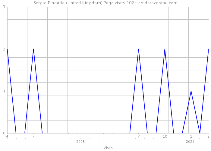 Sergio Pindado (United Kingdom) Page visits 2024 