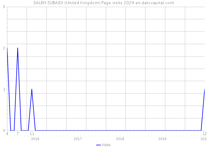 SALEH ZUBAIDI (United Kingdom) Page visits 2024 