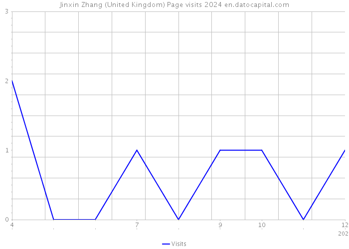 Jinxin Zhang (United Kingdom) Page visits 2024 