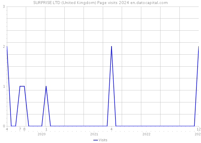 SURPRISE LTD (United Kingdom) Page visits 2024 